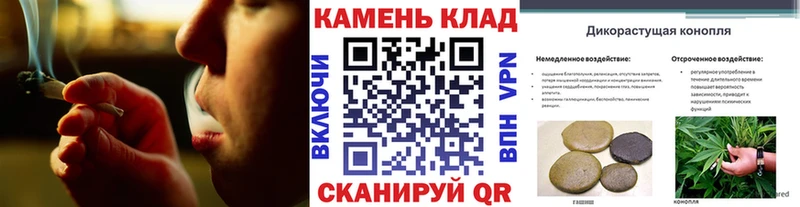 KRAKEN вход  Елизово  ГАШ гарик  цена наркотик 