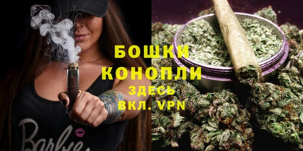 крисы Касимов