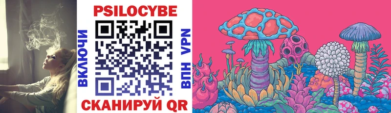 Псилоцибиновые грибы Psilocybine cubensis  наркота  Елизово 