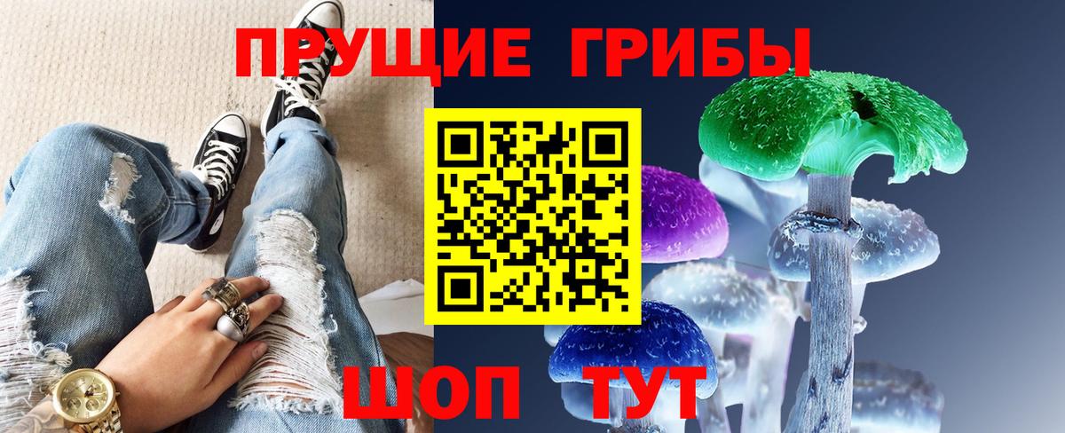 Галлюциногенные грибы Psilocybe  Псилоцибиновые грибы прущие грибы  Елизово 