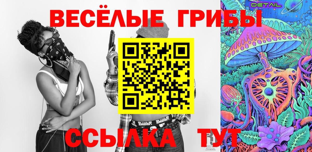 Елизово  Псилоцибиновые грибы прущие грибы  Галлюциногенные грибы мухоморы  Вход с VPN 