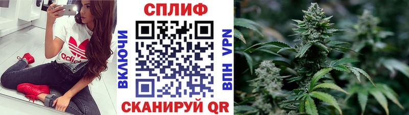 Каннабис план  Елизово 